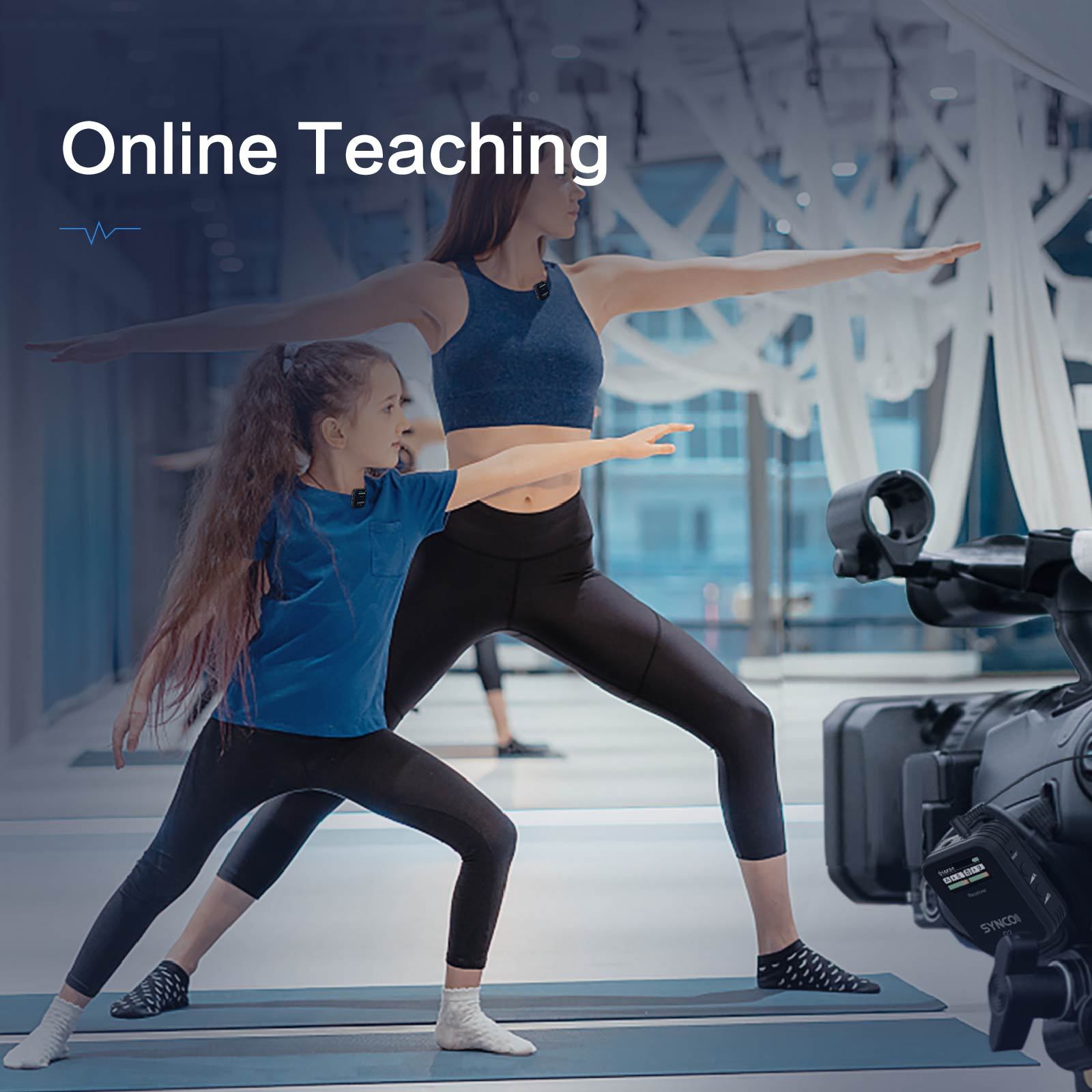 Professional Wireless Microphone Mobile Phone SLR Camera - Image 7